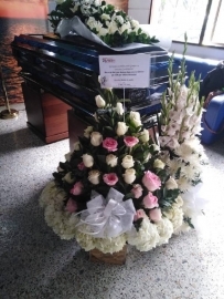 funerarias-campo-de-paz-sala-villanueva-cementerios-condolencias-salas-villanueva-dios-tiene-un-lugar-muy-especial-para-elrf-28