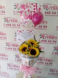 flor-floristeria-medellin-n052-felicidades-por-tan-hermoso-bebe-un-nuevo-ser-que-traera-maravillosos-momentos-llenara-sus-corazones-de-emociones-y-satisfaccion-los-mejores-deseo-flor-floristeria-medellin