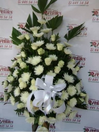 funerarias-campo-de-paz-sala-villanueva-cementerios-condolencias-salas-villanueva-sinceramente-conmovidorf-18