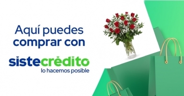 flores-floristeria-para-tus-mejores-momentos